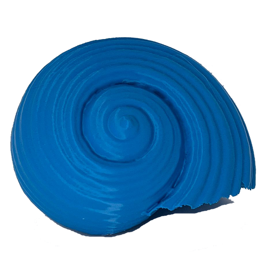 Maltese Sea Snail Sculpture – Real Scan Replica (Decor Piece)